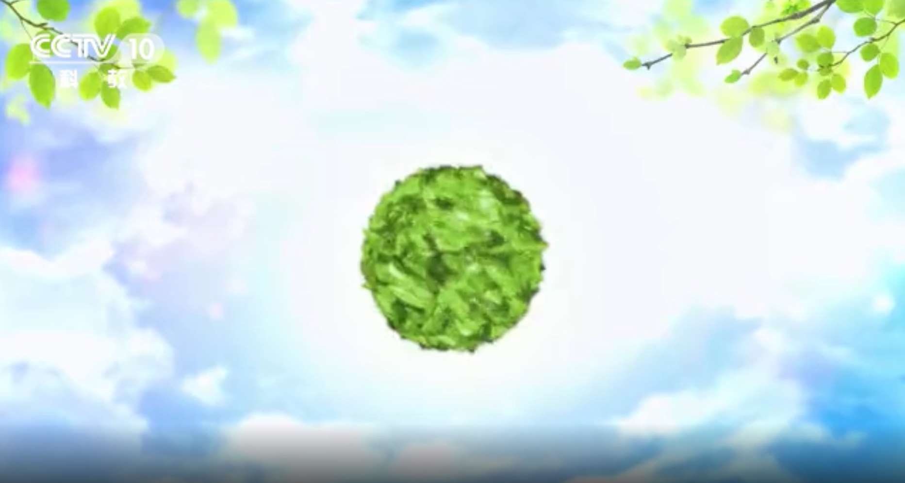 央视案例