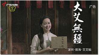“艾艾贴”投放22个卫视,提高品牌知名度 跃升了销售量