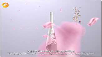 “小花样”投放湖南卫视,广东卫视,山西 卫视